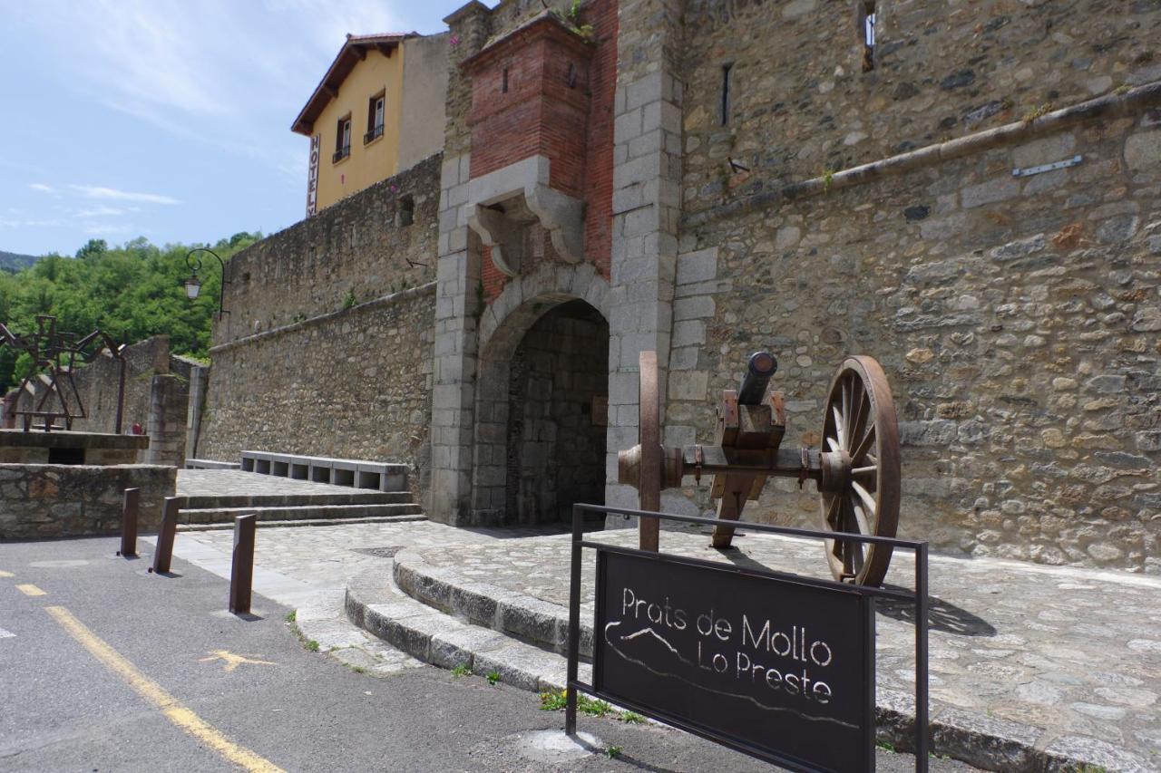 Tres Vents Del Roser - Grand Appartement Prats-de-Mollo-la-Preste Exterior foto